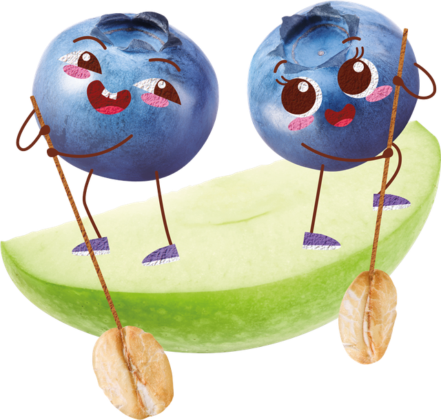 Semper_porridge_chernikasha_120g_cor